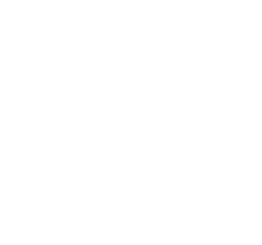 DJI